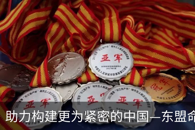 助力构建更为紧密的中国—东盟命运共同体